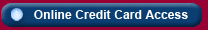 Online Credit Card Access
